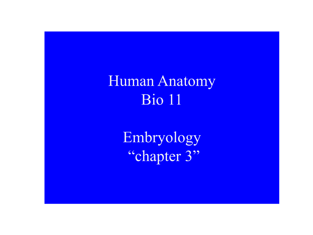 Human Anatomy Bio 11 Embryology “Chapter 3”