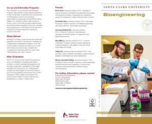 Bioengineering Undergraduate Brochure