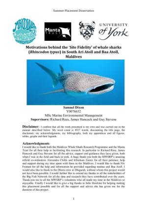 Of Whale Sharks (Rhincodon Typus) in South Ari Atoll and Baa Atoll, Maldives