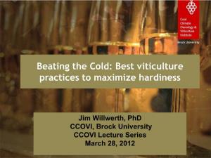 Beating the Cold: Best Viticulture Practices to Maximize Hardiness
