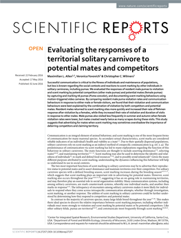 Evaluating the Responses of a Territorial Solitary Carnivore to Potential Mates and Competitors Received: 22 February 2016 Maximilian L