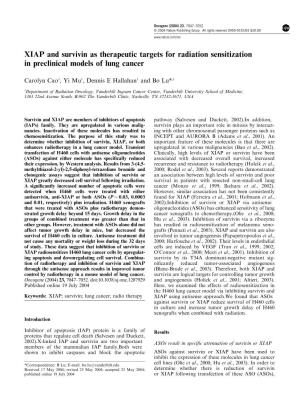 XIAP and Survivin As Therapeutic Targets for Radiation Sensitization in Preclinical Models of Lung Cancer
