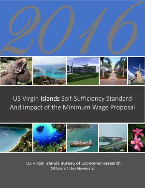 Impact of Minimum Wage in USVI