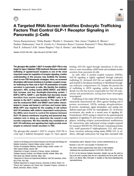A Targeted Rnai Screen Identifies Endocytic Trafficking Factors That