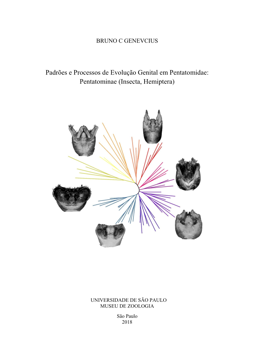 Padrões E Processos De Evolução Genital Em Pentatomidae: Pentatominae (Insecta, Hemiptera)