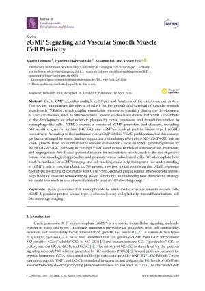 Cgmp Signaling and Vascular Smooth Muscle Cell Plasticity
