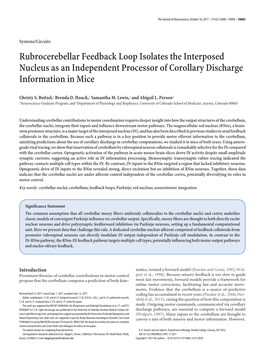 Rubrocerebellar Feedback Loop Isolates the Interposed Nucleus As an Independent Processor of Corollary Discharge Information in Mice