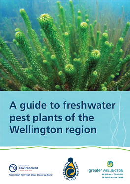 A Guide to Freshwater Pest Plants of the Wellington Region REPORT THESE WEEDS – 0800 496 734