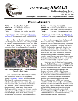 The Hushwing HERALD Blackbrook Audubon Society Volume 56 Number 4 April, May, June 2021 Spreading the Love of Nature in Lake, Geauga and Ashtabula Counties
