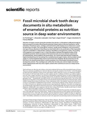 Fossil Microbial Shark Tooth Decay Documents in Situ Metabolism Of