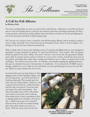 A Call for Fall Alliums by Kenton Seth