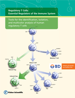 Regulatory T Cells: Essential Regulators of the Immune System