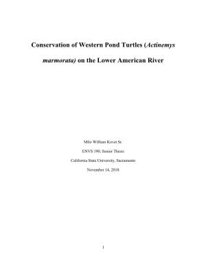 Conservation of Western Pond Turtles (Actinemys
