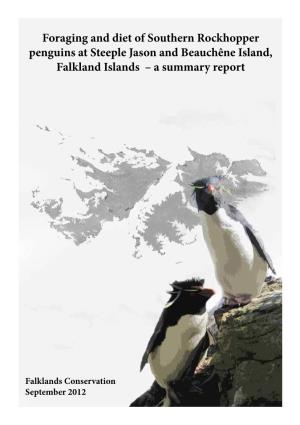 Foraging and Diet of Southern Rockhopper Penguins at Steeple Jason and Beauchêne Island, Falkland Islands – a Summary Report