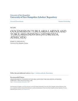 Oogenesis in Tubularia Larynx and Tubularia Indivisa (Hydrozoa, Athecata) Barry W