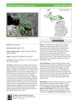 Pellaea Atropurpurea (L.) Link Purplepurple Cliff Cliff Brake, Brake Page 