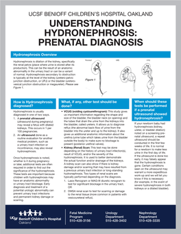 Understanding Hydronephrosis, Fetal Medicine Program UCSF Benioff