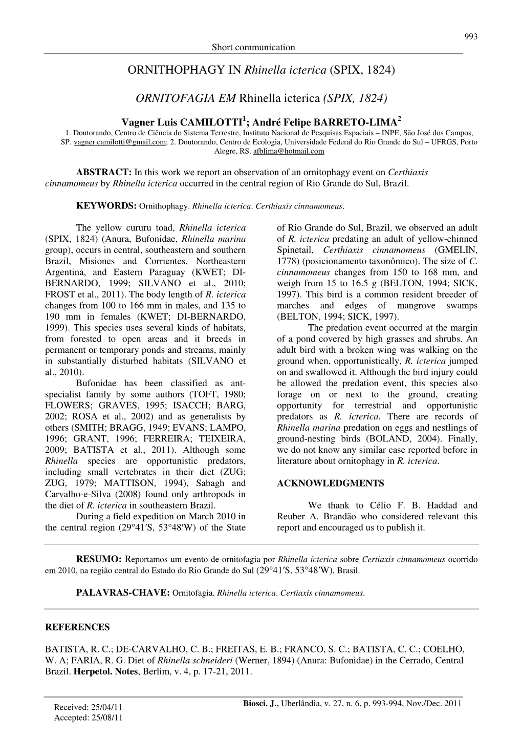 ORNITHOPHAGY in Rhinella Icterica (SPIX, 1824)