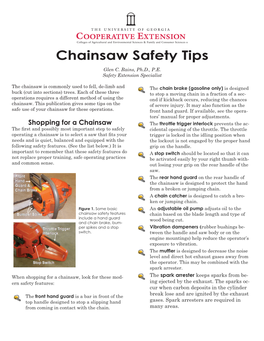 Chainsaw Safety Tips Glen C