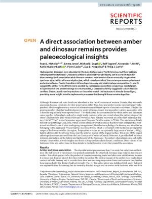 A Direct Association Between Amber and Dinosaur Remains Provides Paleoecological Insights Ryan C