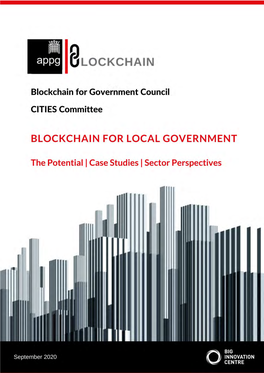 Blockchain for Local Government: the Potential