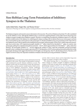 Non-Hebbian Long-Term Potentiation of Inhibitory Synapses in the Thalamus