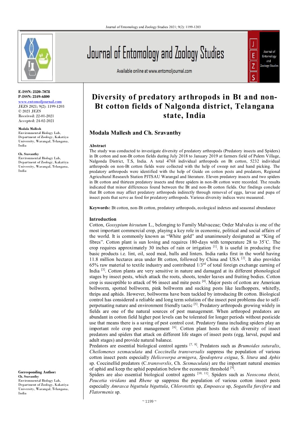 Diversity of Predatory Arthropods in Bt and Non-Bt Cotton Fields Of