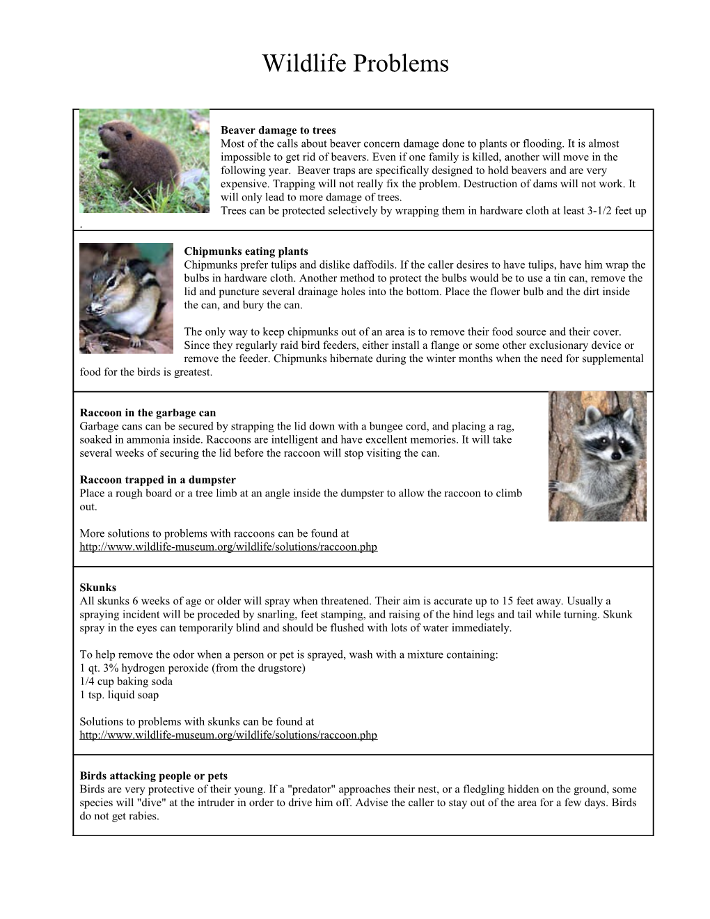 Frequently Asked Questions About Wildlife