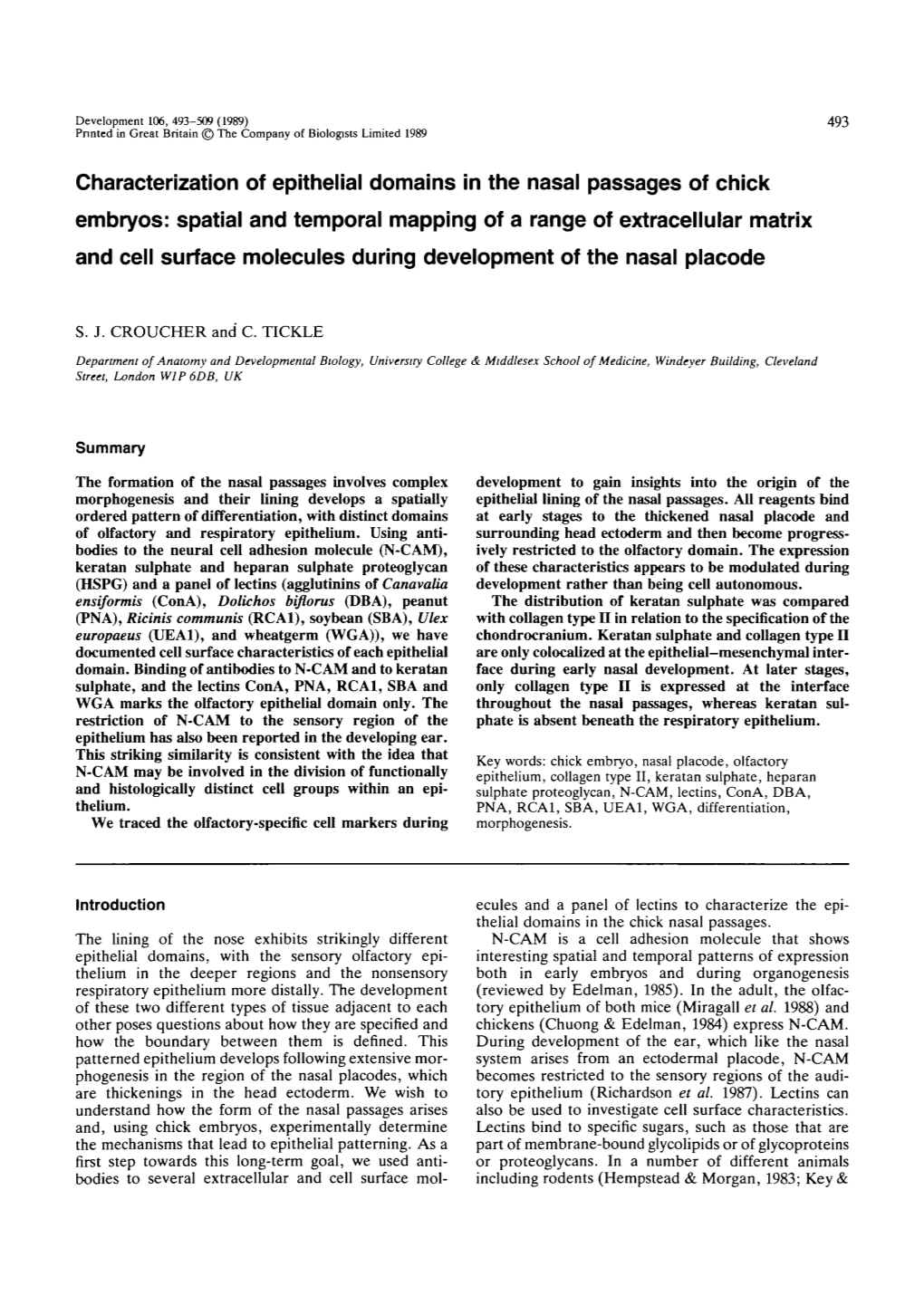 Characterization of Epithelial Domains in The