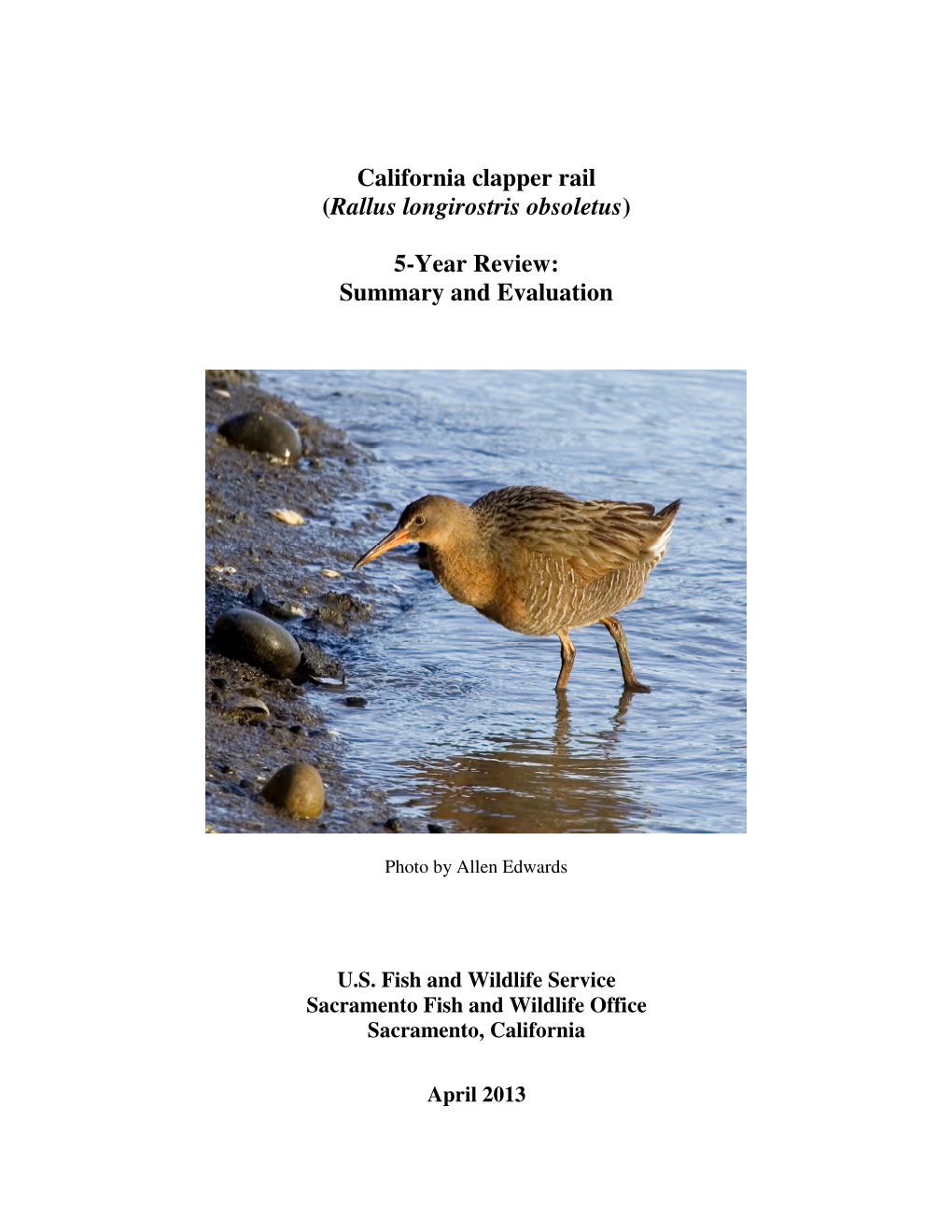 California Clapper Rail (Rallus Longirostris Obsoletus) 5-Year Review