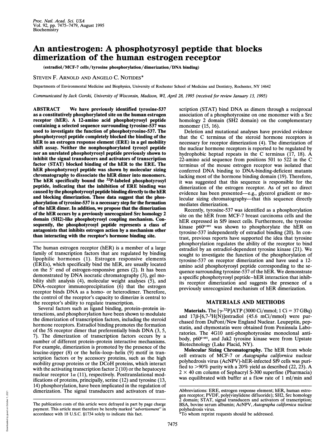 A Phosphotyrosyl Peptide That Blocks Dimerization of the Human Estrogen Receptor (Estradiol/MCF-7 Cells/Tyrosine Phosphorylation/Dimerization/DNA Binding) STEVEN F