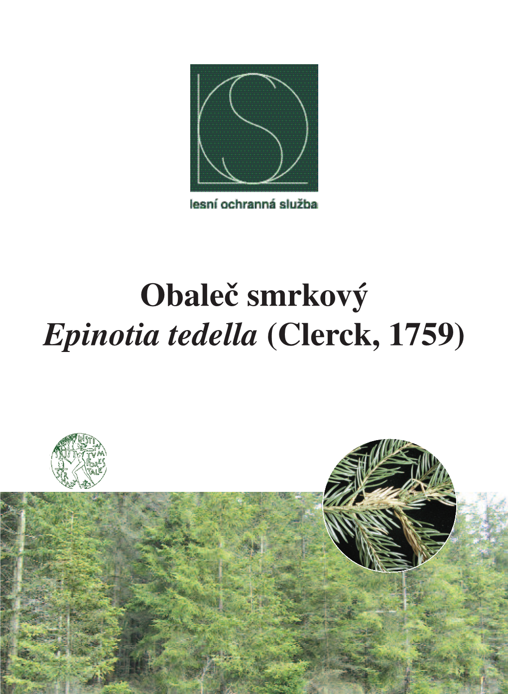 Obaleč Smrkový Epinotia Tedella (Clerck, 1759) PŘÍLOHA