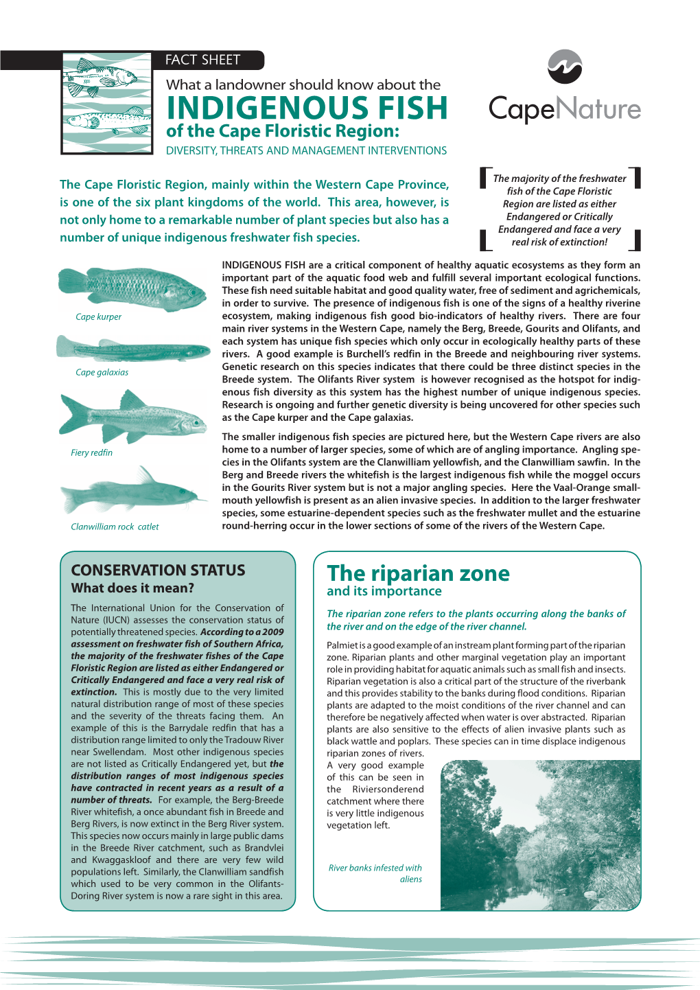Indigenous Fish Fact Sheet