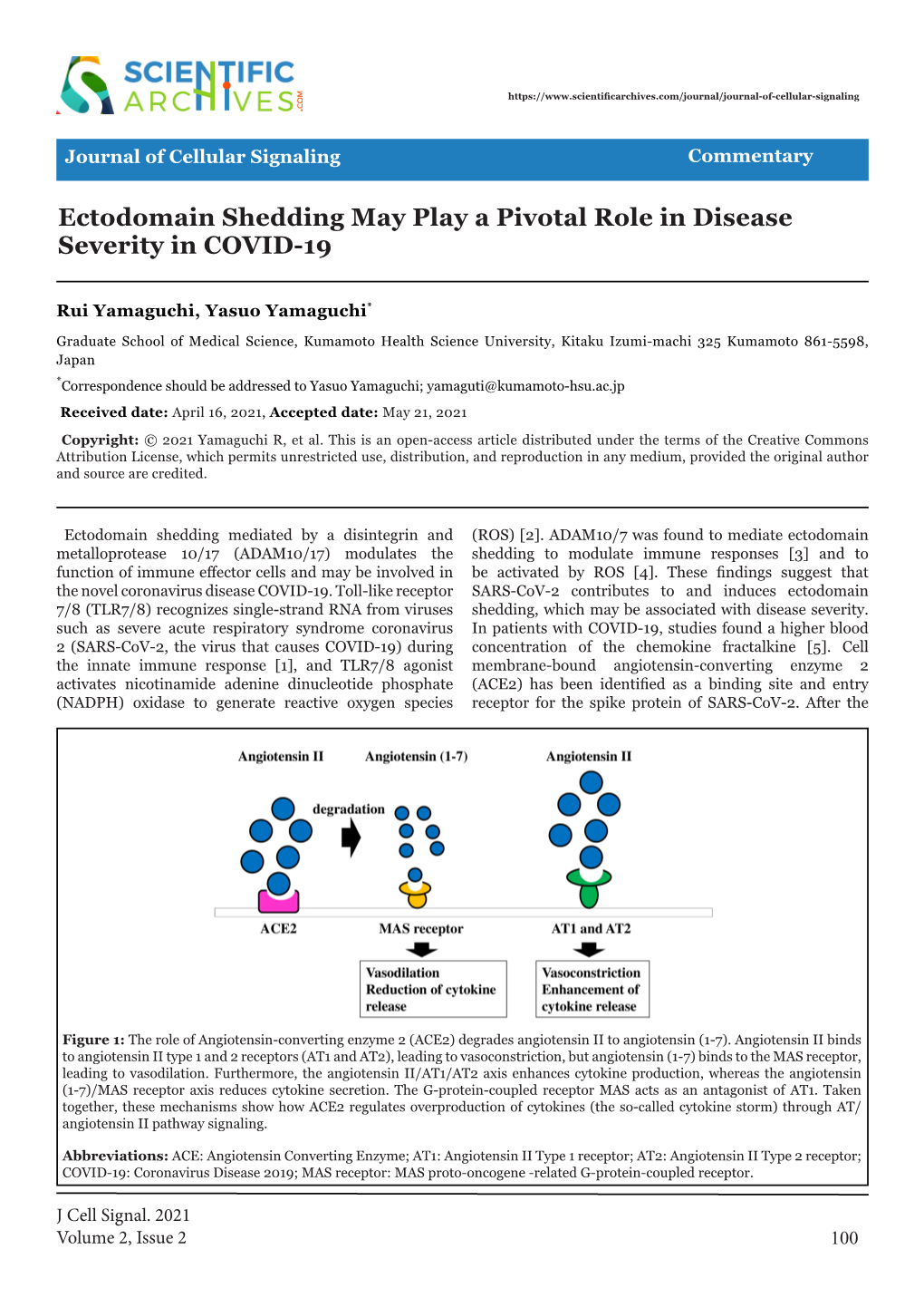 Ectodomain Shedding May Play a Pivotal Role in Disease Severity in COVID-19