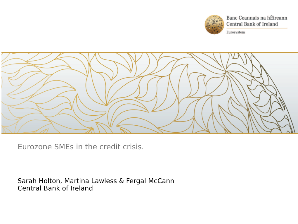 Eurozone Smes in the Credit Crisis