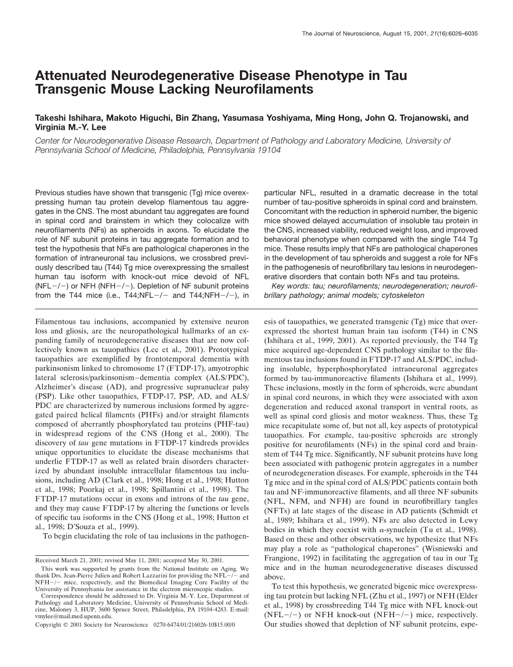 Attenuated Neurodegenerative Disease Phenotype in Tau Transgenic Mouse Lacking Neuroﬁlaments