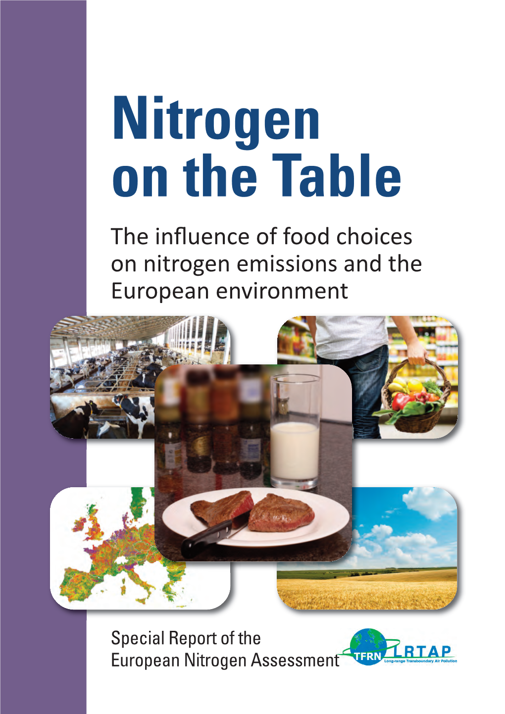 The Influence of Food Choices on Nitrogen Emissions and the European Environment