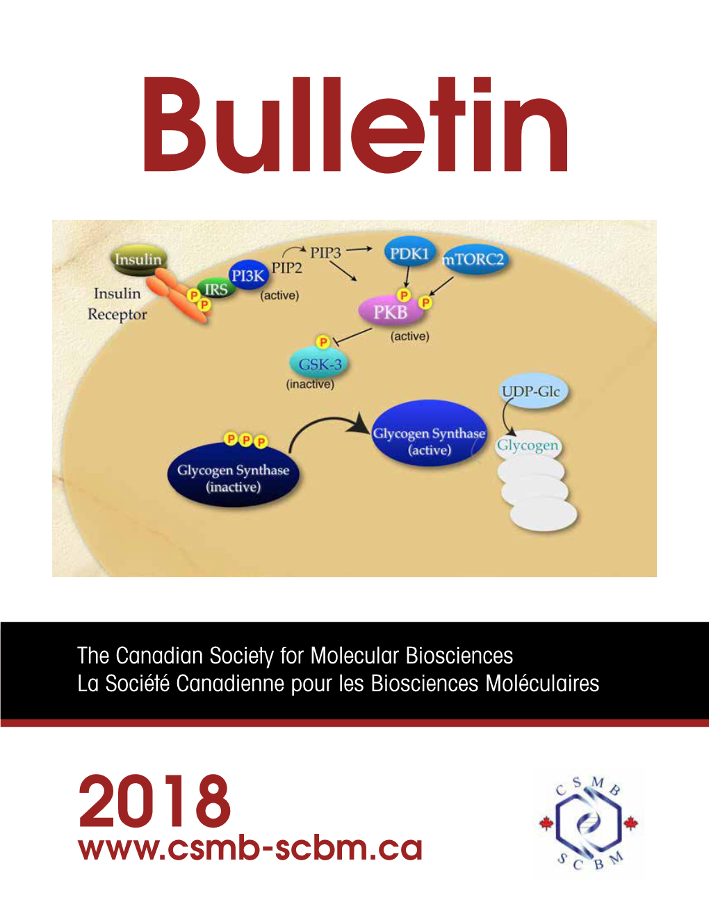 Bulletin the Canadian Society for Molecular Biosciences La Société Canadienne Pour Les Biosciences Moléculaires