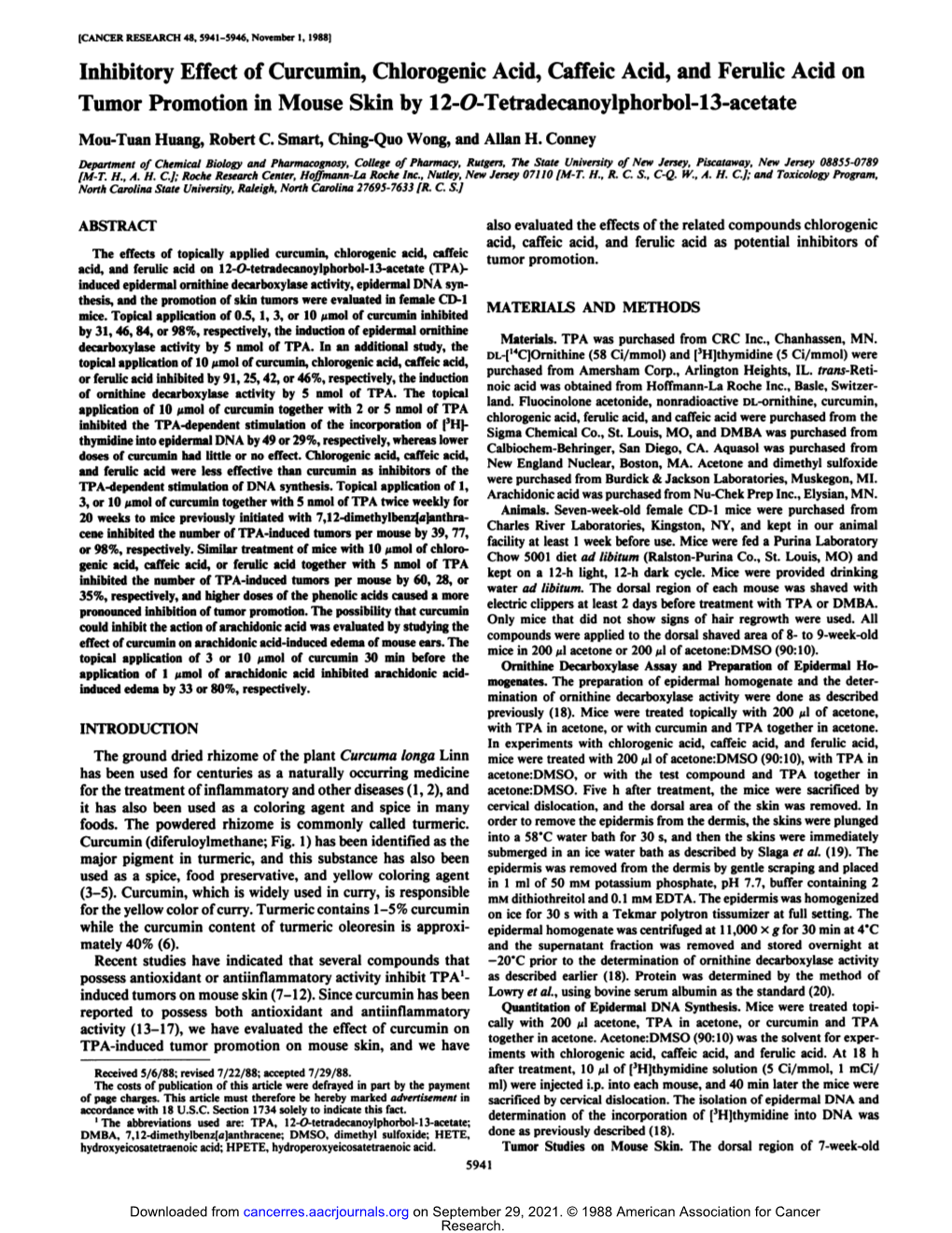 Inhibitory Effect of Curcumin, Chlorogenic Acid, Caffeic Acid, and Ferulic Acid on Tumor Promotion in Mouse Skin by 12-O-Tetradecanoylphorbol-13-Acetate