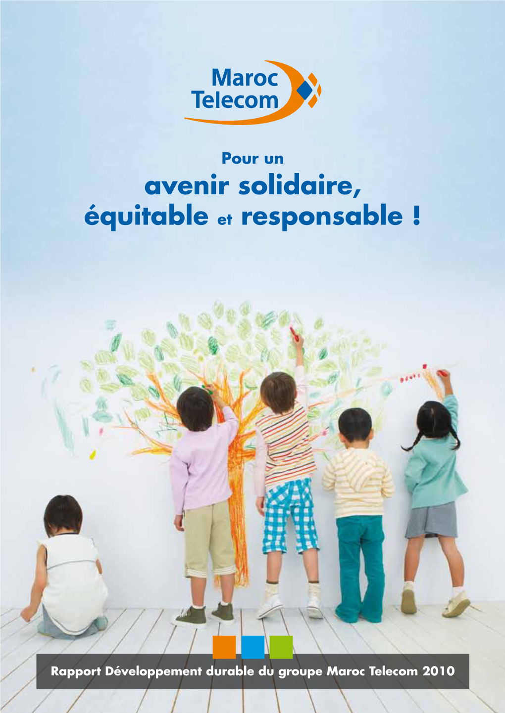 Rapport-Developpement-Durable-IAM-2010