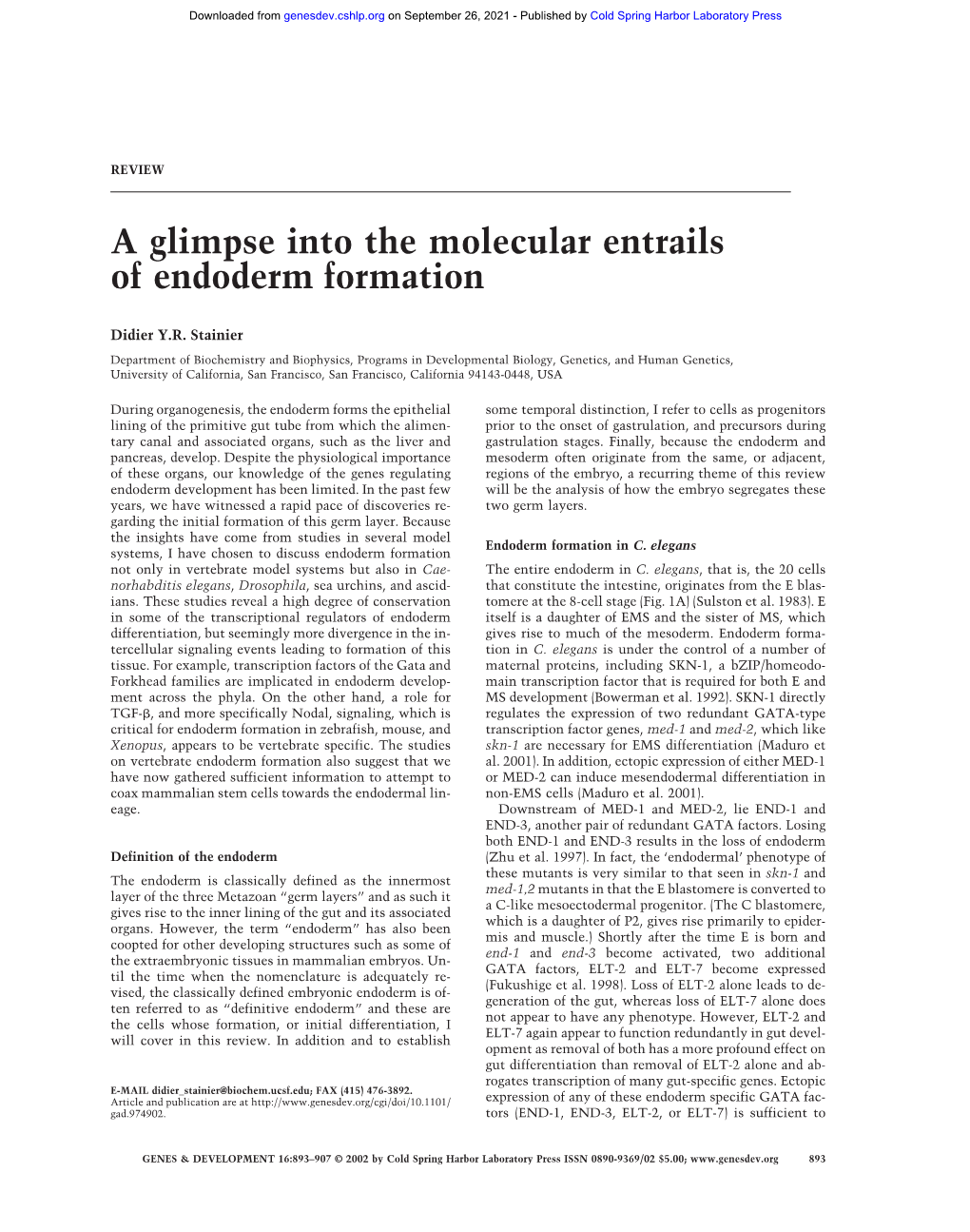 A Glimpse Into the Molecular Entrails of Endoderm Formation