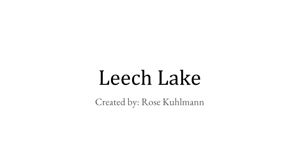 Leech Lake Is One of the Biggest Lakes in Minnesota