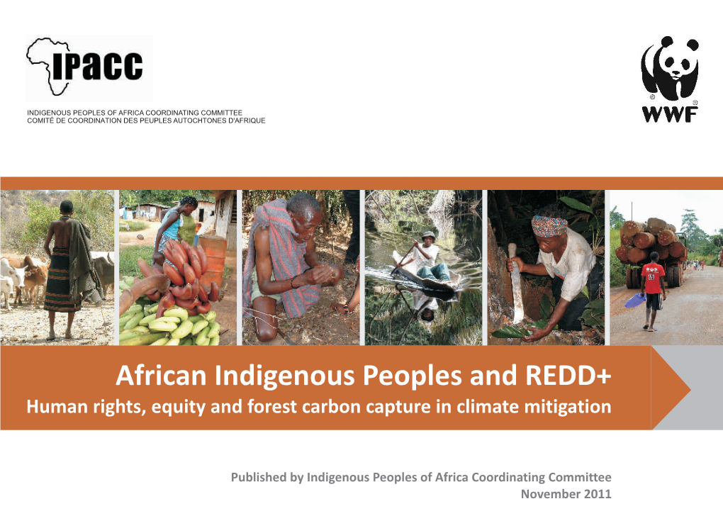 African Indigenous Peoples and REDD+ Human Rights, Equity and Forest Carbon Capture in Climate Mitigation