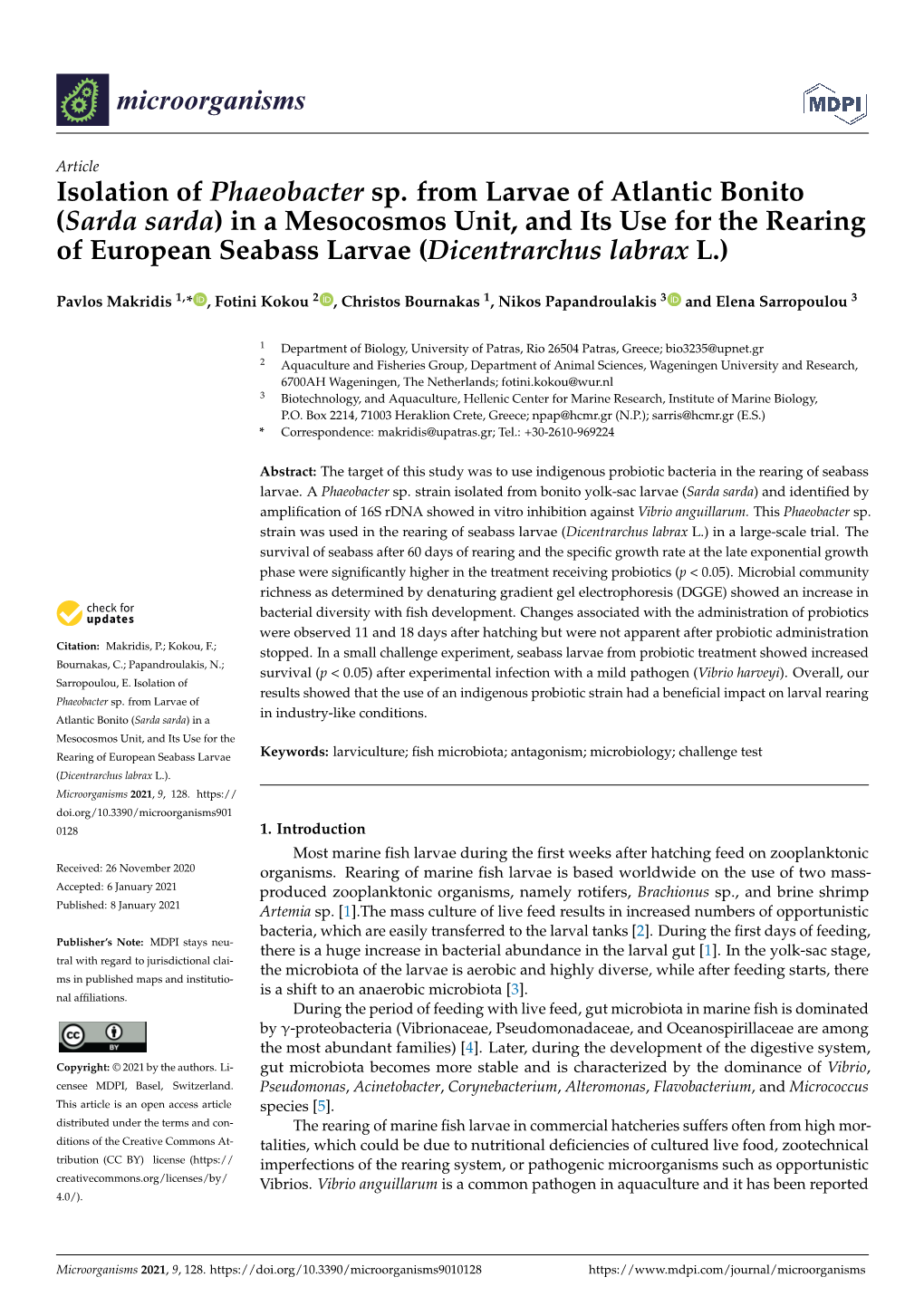 Isolation of Phaeobacter Sp. from Larvae of Atlantic Bonito