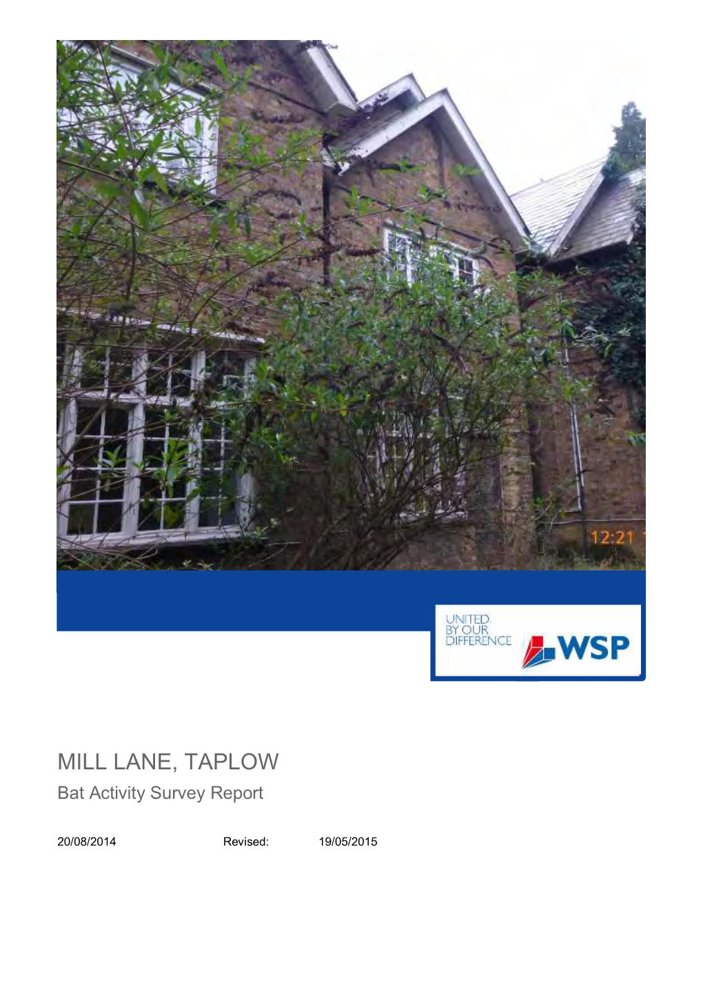 MILL LANE, TAPLOW Bat Activity Survey Report