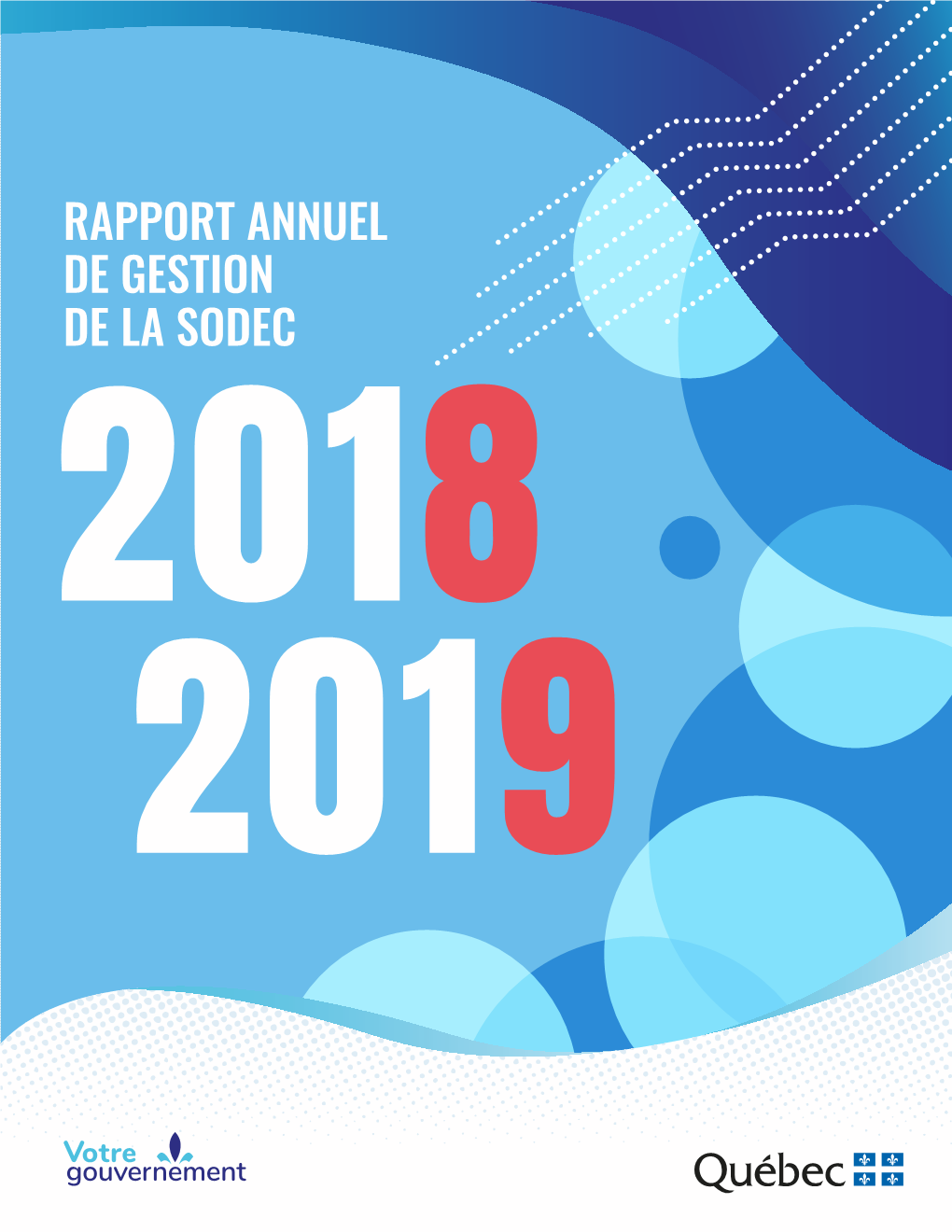 Rapport Annuel De Gestion 2018-2019