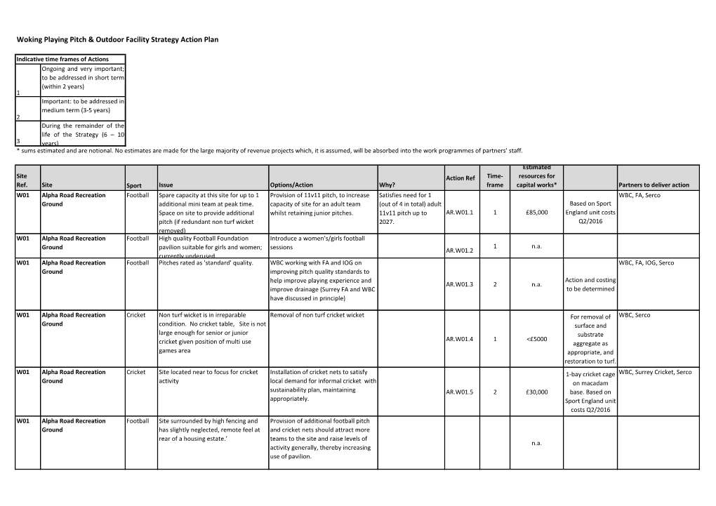 Woking Playing Pitch & Outdoor Facility Strategy Action Plan