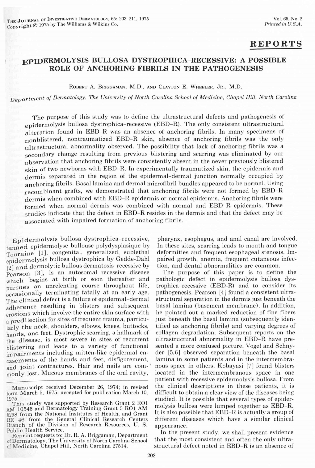 Epidermolysis Bullosa Dystrophica-Recessive: a Possible Role of Anchoring Fibrils in the Pathogenesis