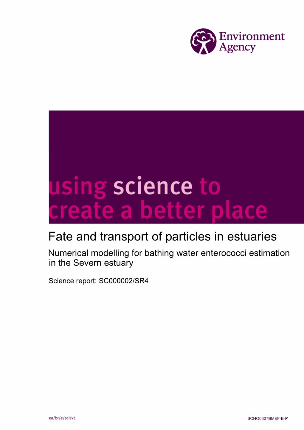 Fate and Transport of Particles in Estuaries Numerical Modelling for Bathing Water Enterococci Estimation in the Severn Estuary