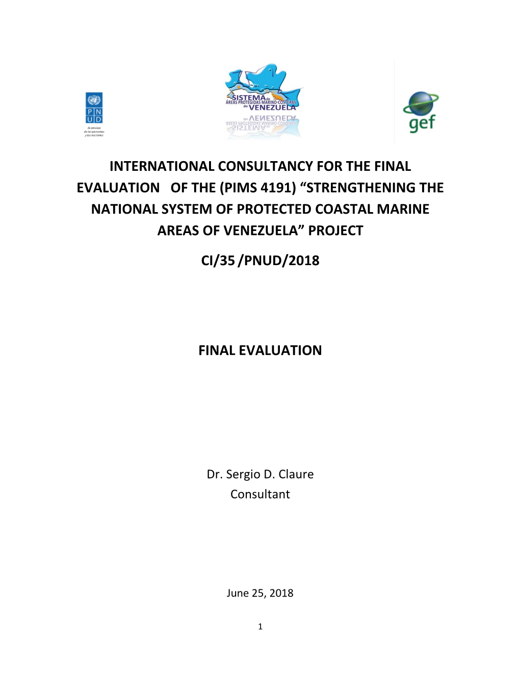 International Consultancy for the Final